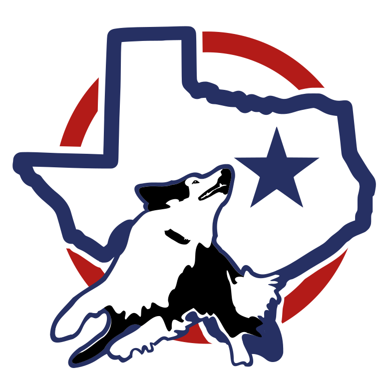 Disc Dog Texas State Championship logo