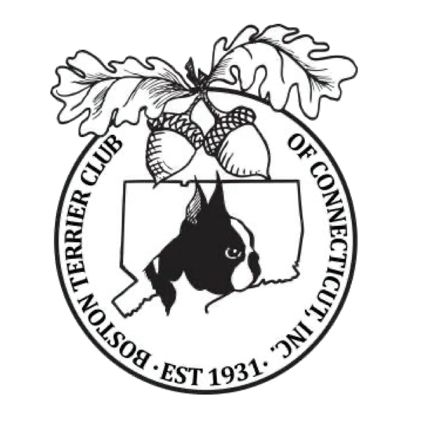 Boston Terrier Club of Connecticut logo