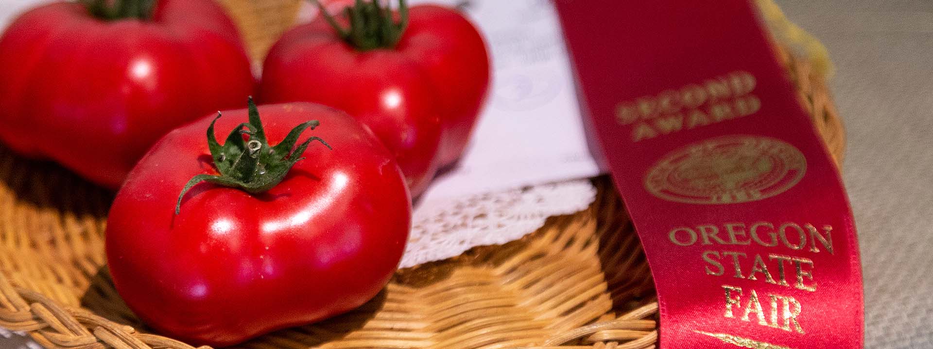 Three prize tomatoes in a basket beside a red Oregon State Fair second-place ribbon.