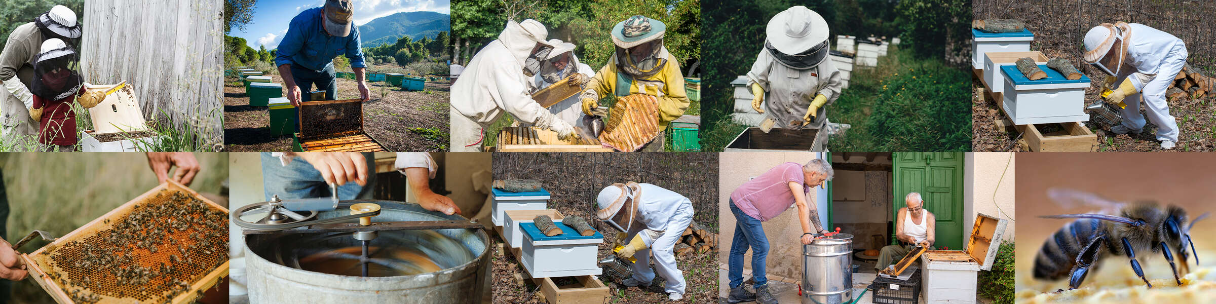 Photo collage of beekeepers at club events including hive inspections, mentoring beginners, extracting honey, and apiary days.