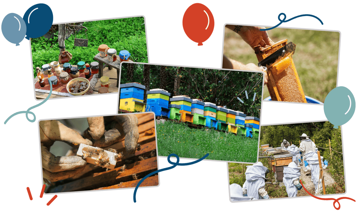 Photo collage of beekeepers and club apiary activities with illustrated celebratory balloons, representing the local associations, regional guilds, and education clubs Clubistry supports.