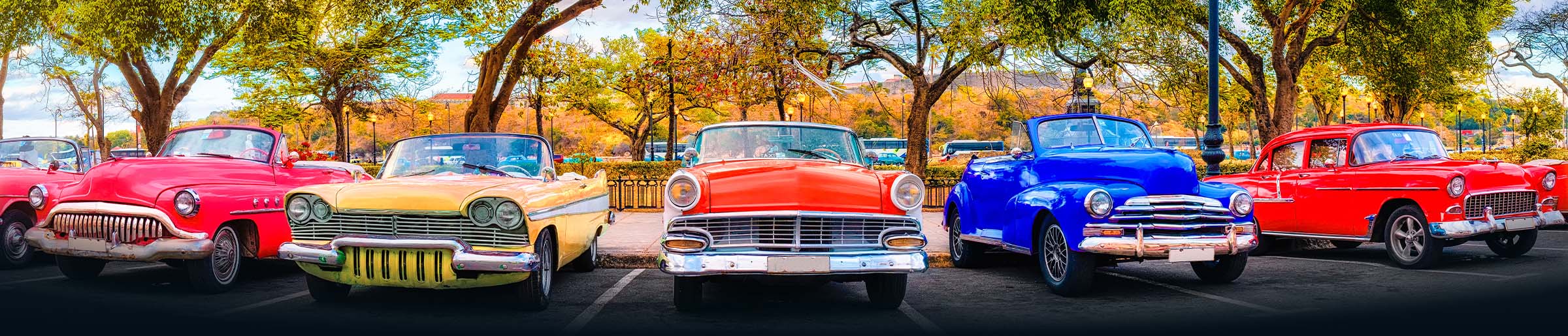 A lineup of classic and collector cars, representing the variety of marque, regional, and collector car clubs that run on Clubistry.